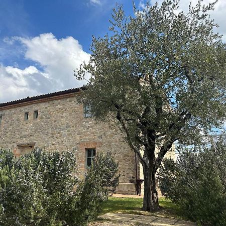 Bed and Breakfast Borgo Cardaneto à Montone  Extérieur photo