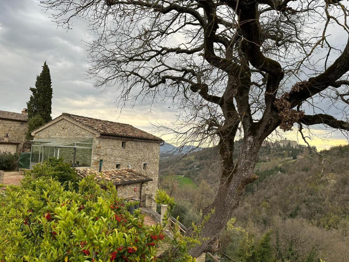 Bed and Breakfast Borgo Cardaneto à Montone  Extérieur photo