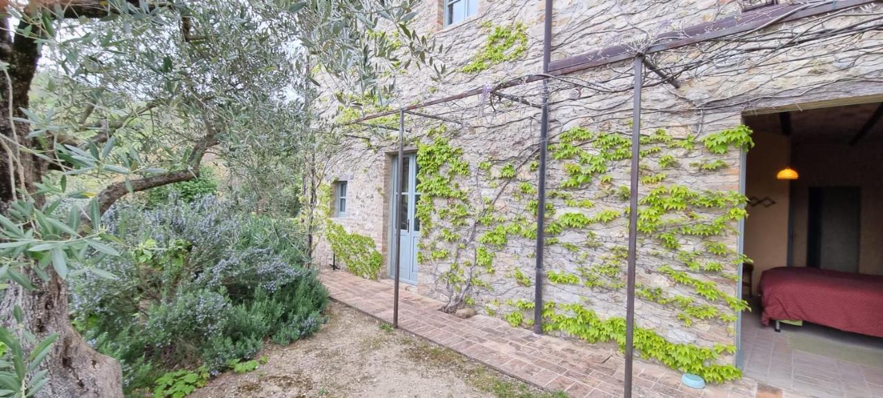 Bed and Breakfast Borgo Cardaneto à Montone  Extérieur photo