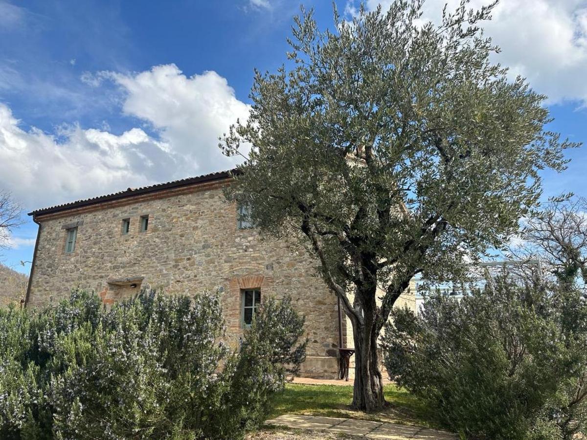 Bed and Breakfast Borgo Cardaneto à Montone  Extérieur photo