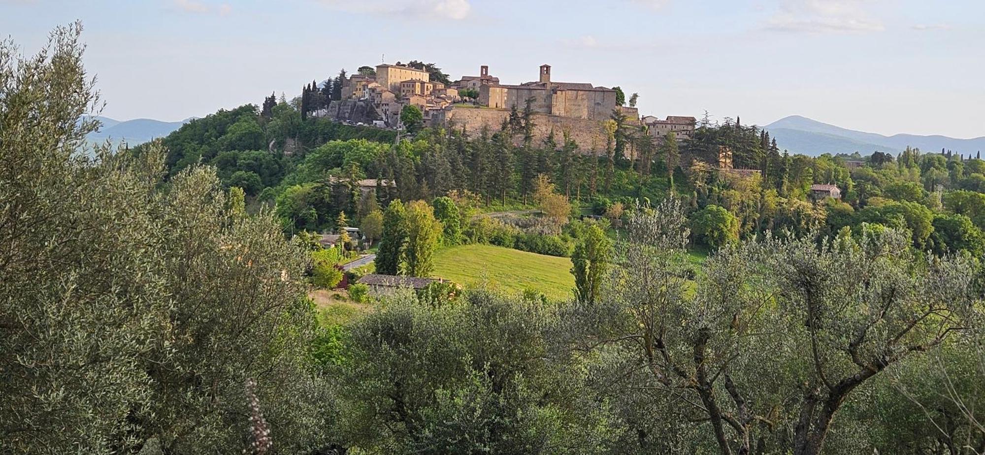 Bed and Breakfast Borgo Cardaneto à Montone  Extérieur photo